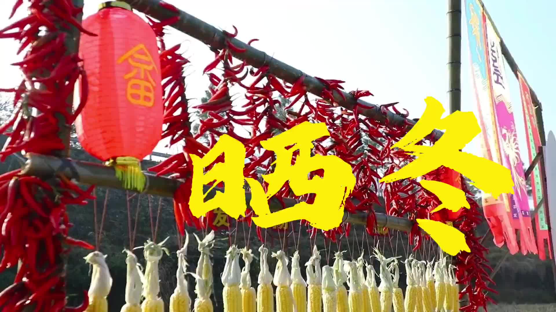 暖阳万物，东固晒冬，一起晒出冬日温暖~
