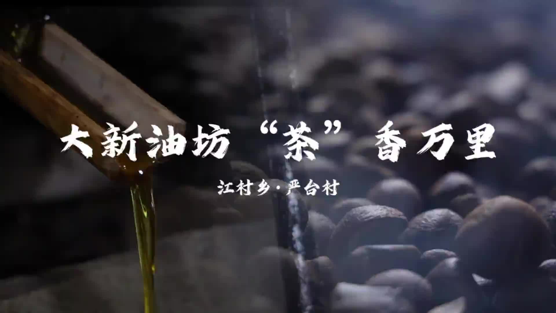 大新油坊，隐藏在深山里的万亩茶园.